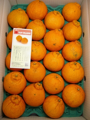 ★ネット限定★ﾄｯﾌﾟｵﾚﾝｼﾞ家庭用　18玉