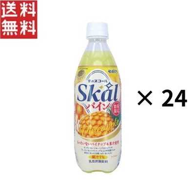 南日本酪農協同 スコール パイン 500mlペットボトル&times;24本入 賞味期限 2026年11月