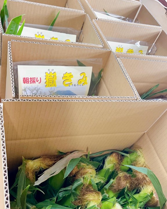 嶽きみ発送 | 岩木屋ネットショップ