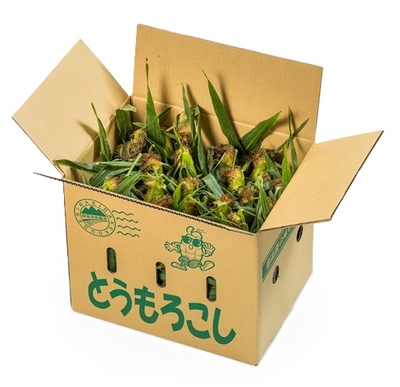 朝採り嶽きみ　30本入