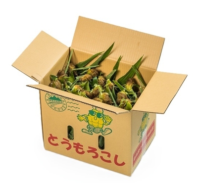 朝採り嶽きみ　20本入