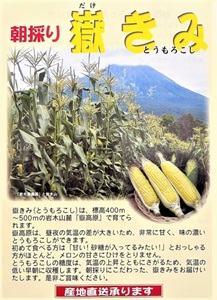 嶽きみ発送 | 岩木屋ネットショップ