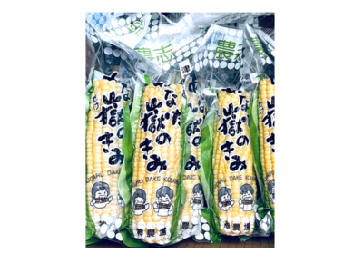 嶽きみ（とうもろこし） | 岩木屋ネットショップ