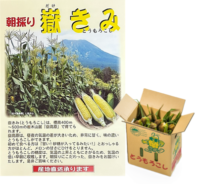 朝採り嶽きみ　10本入