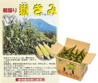 朝採り嶽きみ　20本入