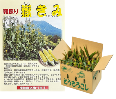 朝採り嶽きみ　30本入