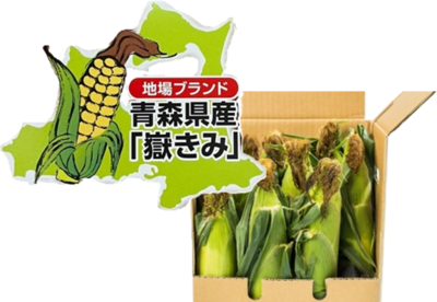 朝採り嶽きみ　15本入