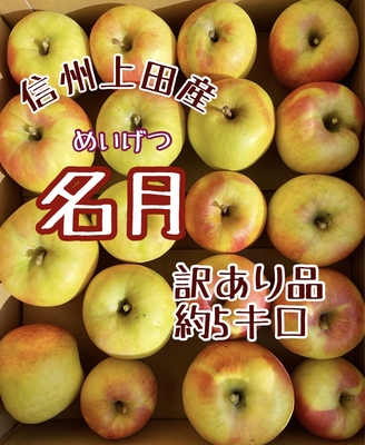 名月 訳あり品 約５kg(送料別)