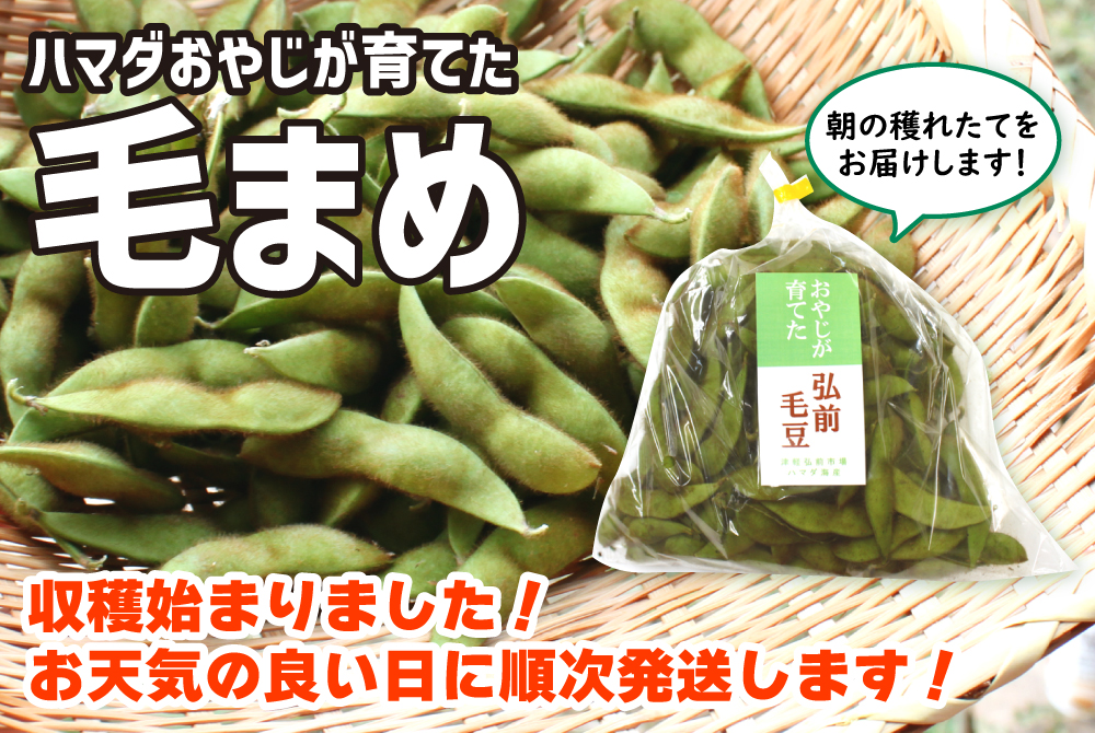 甘塩粒うに
