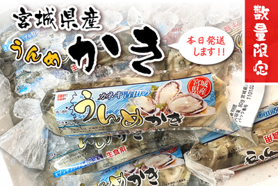 【生食用】生かき 80ｇ　 [冷蔵]