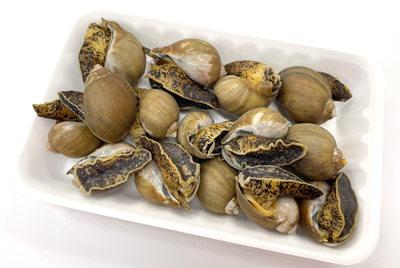 新鮮・ボイルツブ貝【300g】