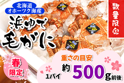 浜ゆで毛ガニ・大型 [冷蔵]