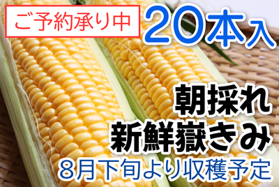嶽きみ　２０本入　[冷蔵]