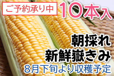 嶽きみ　１０本入　[冷蔵]
