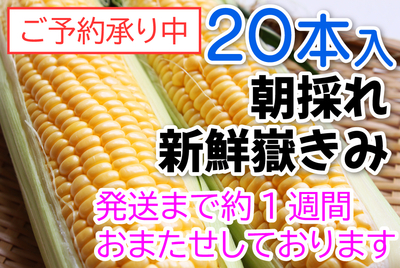 嶽きみ　２０本入　[冷蔵]