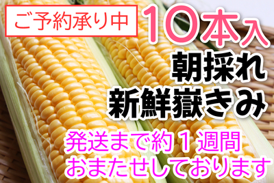 嶽きみ　１０本入　[冷蔵]