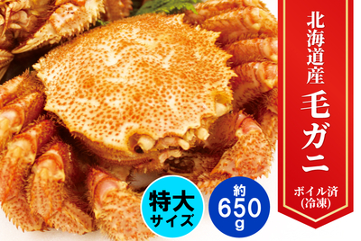北海道産＜特大＞毛がに　[冷凍]