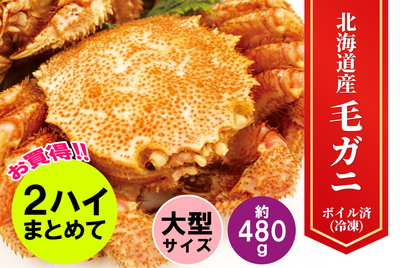 【２ハイまとめて】大型毛ガニ★★　[冷凍]