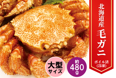 北海道産大型毛ガニ　[冷凍]