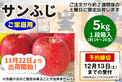 サンふじ ５kg　ご家庭用 [常温]