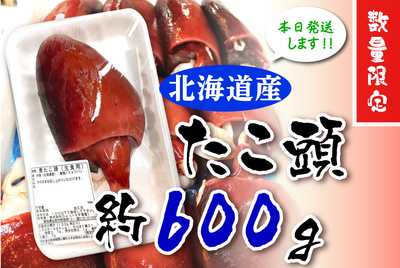 北海道産・煮たこ頭（約600ｇ） [冷蔵]
