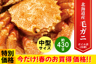 北海道産毛ガニ・中型  [冷凍]