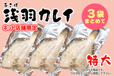 【３枚まとめて】浅羽カレイ(加熱用)[冷凍]