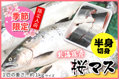 北海道産・生桜マス◆半身切身 [冷蔵･冷凍]