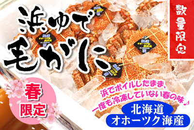 浜ゆで毛ガニ　[冷蔵]