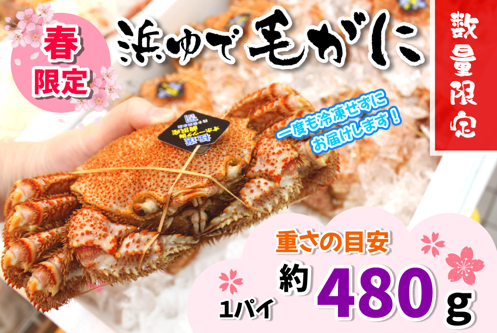 約480g】とれたて浜ゆで毛ガニ [冷蔵] | 津軽弘前市場 ハマダ海産