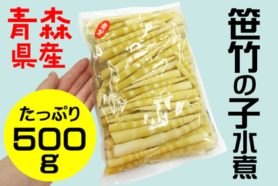 【大容量】笹竹の子水煮500g［常温・冷蔵］