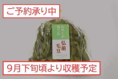 おやじが育てた毛まめ 400g [冷蔵]