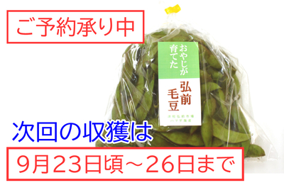 おやじが育てた毛まめ 400g [冷蔵]