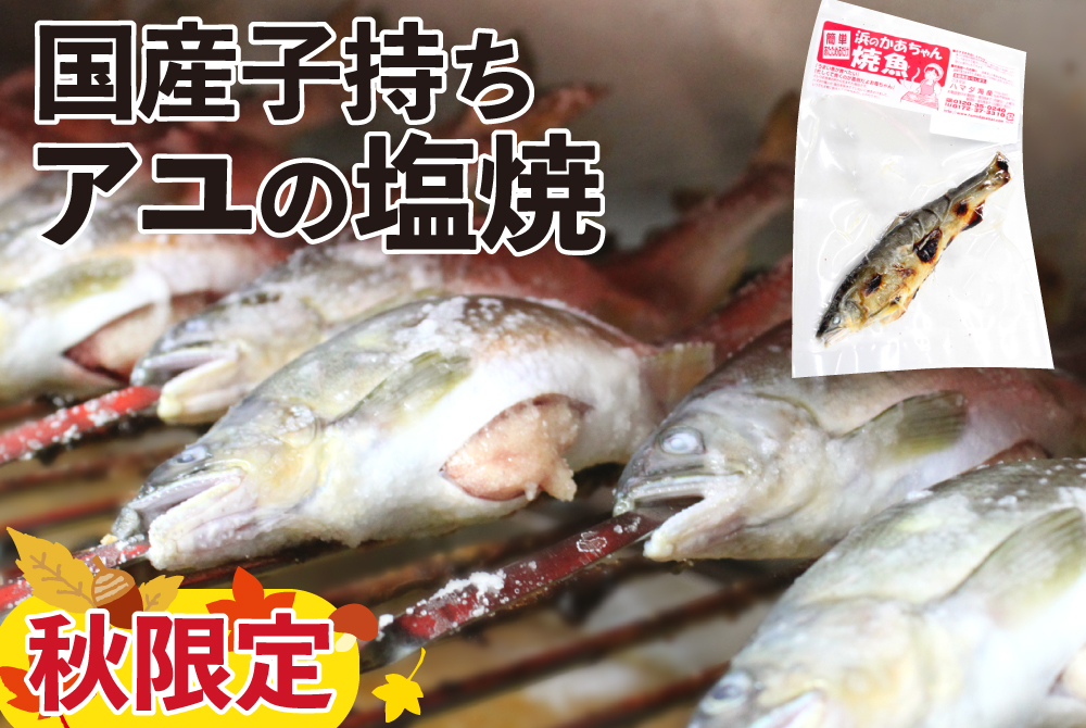 子持ちアユ