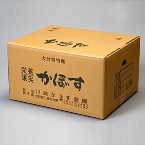 B級品 20kg】コンテナごとあなたへ届け！「タカミヤカボスの