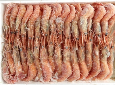 ◆生食可◆ 兵庫県浜坂産　 天然甘えび　約32尾入