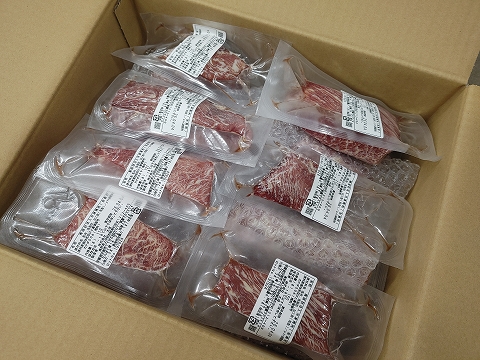 脂肪注入馬刺し 中身 俯瞰