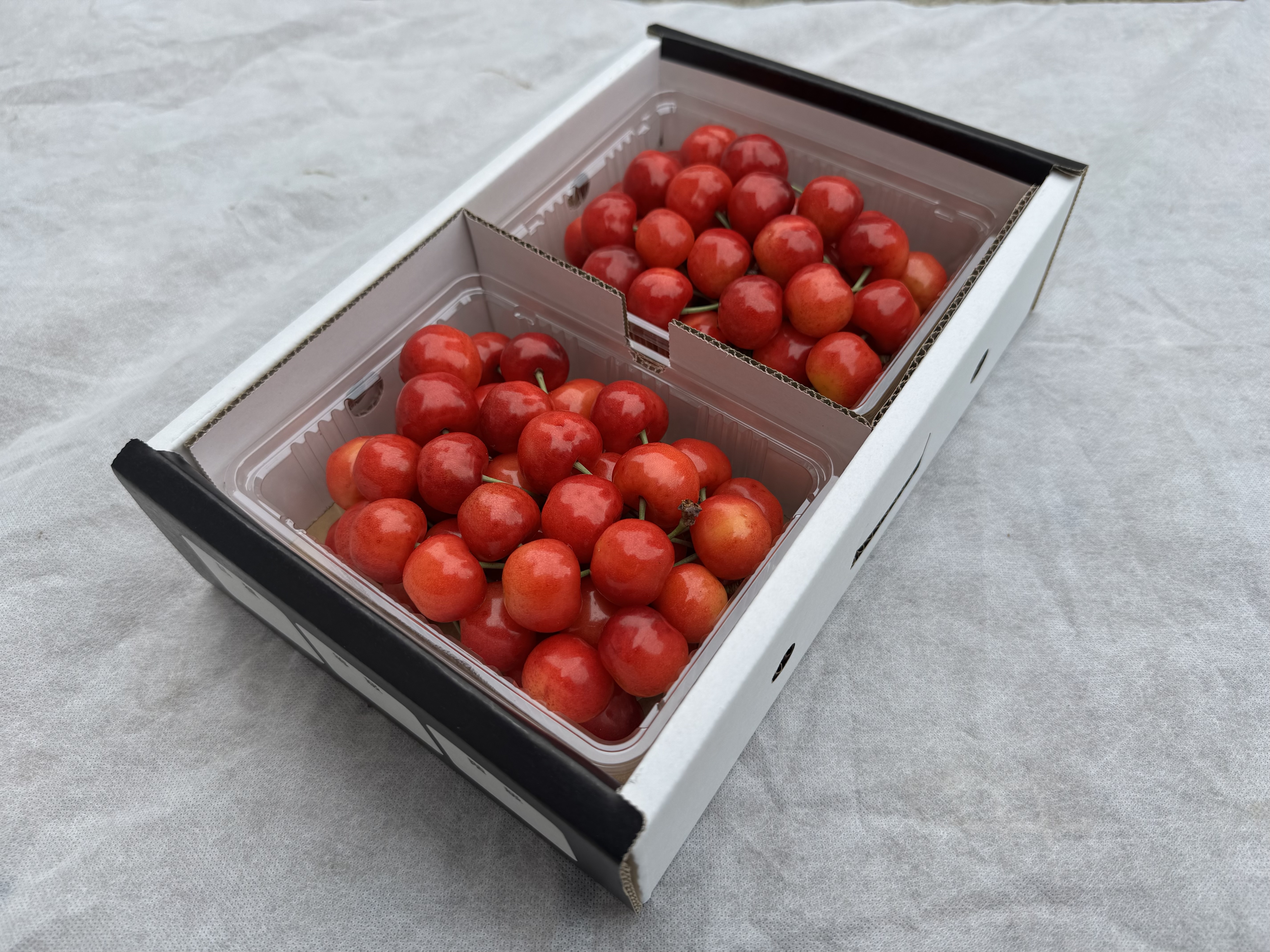 紅秀峰 1kg バラ詰め 贈答品 2025年度産】紅秀峰 1kgバラ詰め（贈答用） | クダモノラクエン