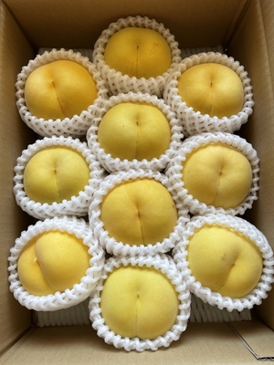 【2025年度産】　黄貴妃　3kg（贈答用）