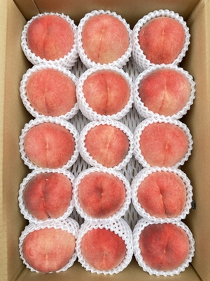 【2026年度産】あべ白桃　5kg（贈答用）