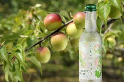 BENIサイダーうめのこきゅう（梅炭酸水）