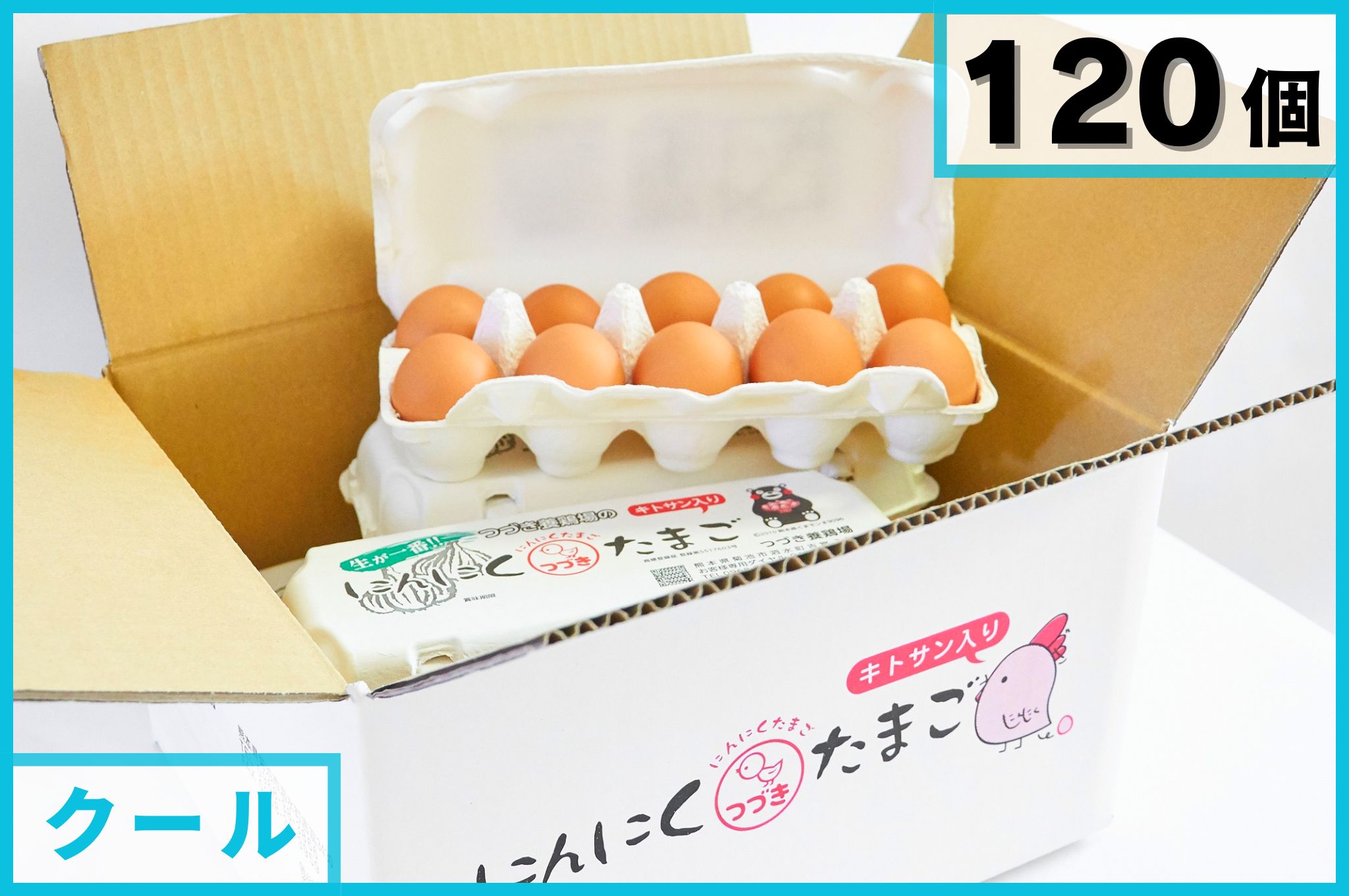 富士薬品 富士のにんにく卵黄 3個セット