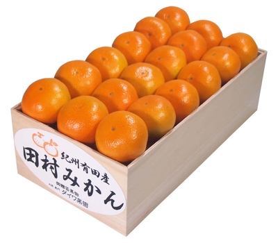 和歌山産田村みかん（木箱詰め 約3kg）