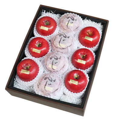 山麓りんご（長野産サンふじ10個入り）