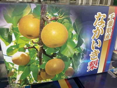ながいき梨(幸水)3L12玉入化粧箱　送料込み