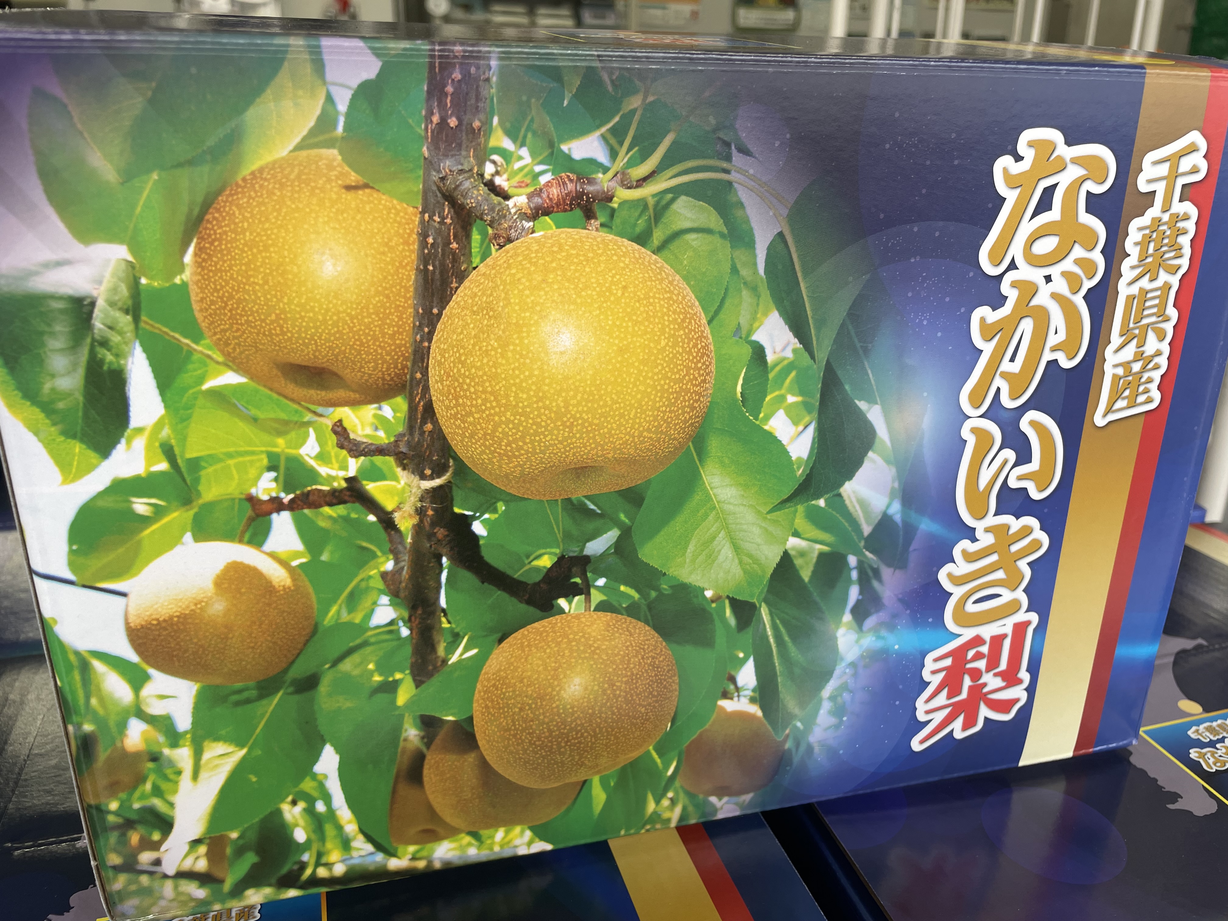 ながいき梨(幸水)2L14玉入化粧箱 送料込み | ながいきオンライン