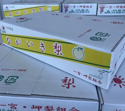 ながいき梨(幸水)L18玉入5㎏　贈答用箱　送料込み
