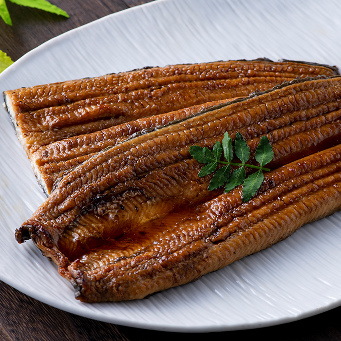 浜名湖うなぎ 長蒲焼8枚入り(真空パック) | 浜名湖養魚漁業協同組合