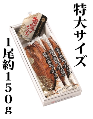 浜名湖うなぎの真空長蒲焼を通販で直送 | 浜名湖養魚漁業協同