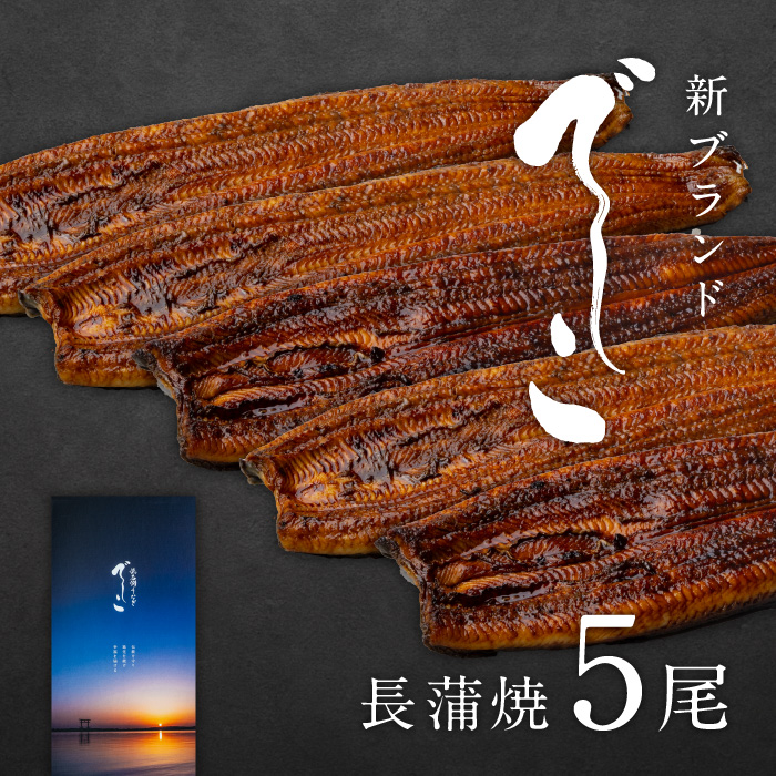浜名湖うなぎ でしこ長蒲焼5枚 | 浜名湖養魚漁業協同組合【公式】